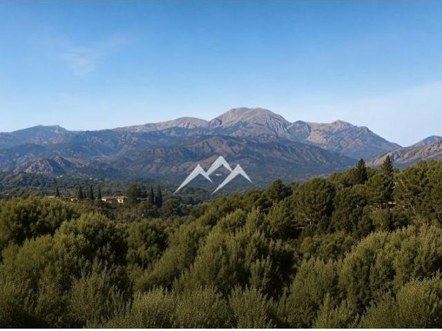 Local Comercial en venta en Es Pujol, Raiguer