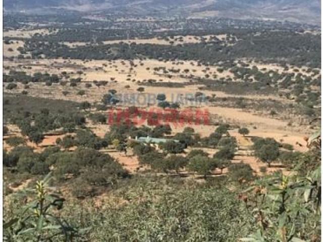 Casa en venta en Cabañas Del Castillo, Extremadura