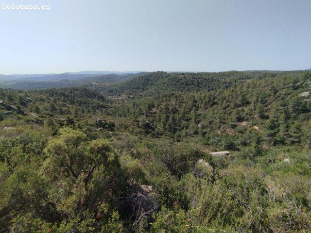 Local Comercial en venta en Matarraña / Matarranya, Calaceite