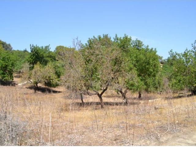 Local Comercial en venta en Ullaró, Raiguer