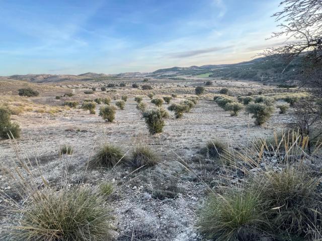 Terreno en venta en Carabaña