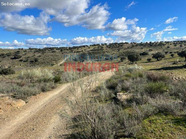 Casa en venta en Carrascalejo, Extremadura