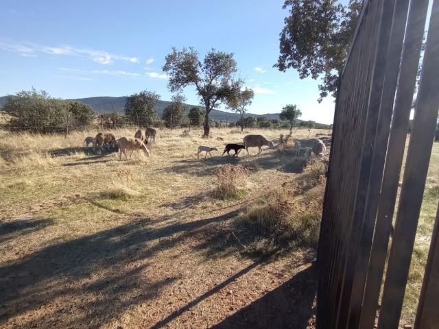 Chalet en venta en Margallo, Cáceres