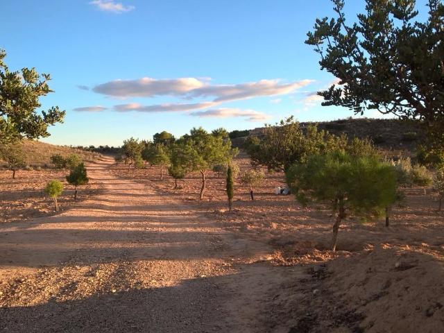 Chalet en venta en Cañada Hermosa, Área Metropolitana de Murcia