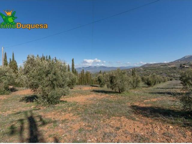 Local Comercial en venta en Comarca de la Vega de Granada, Andalucía