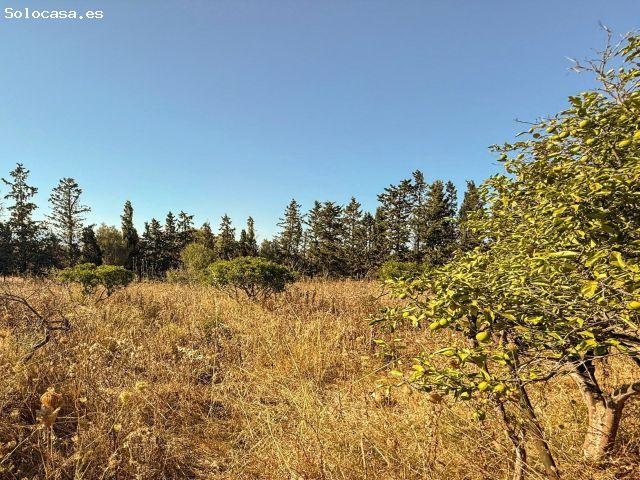 Local Comercial en venta en Pla de Mallorca, Baleares