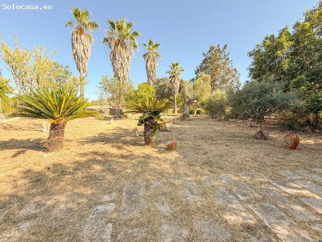Local Comercial en venta en Pla de Mallorca, Baleares