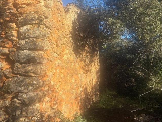 Local Comercial en venta en Pla de Mallorca, Baleares