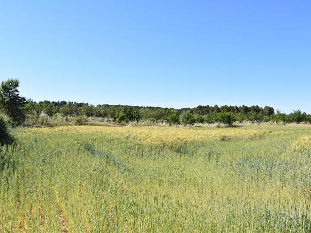 Chalet en venta en Matarraña / Matarranya, Cretas