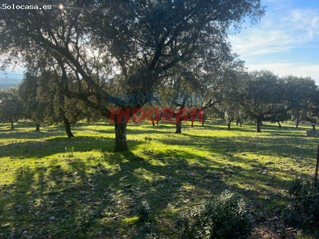 Casa en venta en Deleitosa, Extremadura