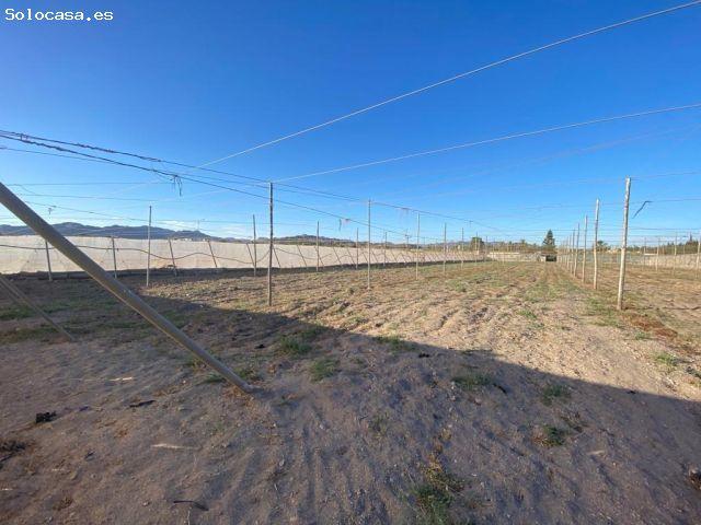 Local Comercial en venta en Alto Guadalentín, Murcia