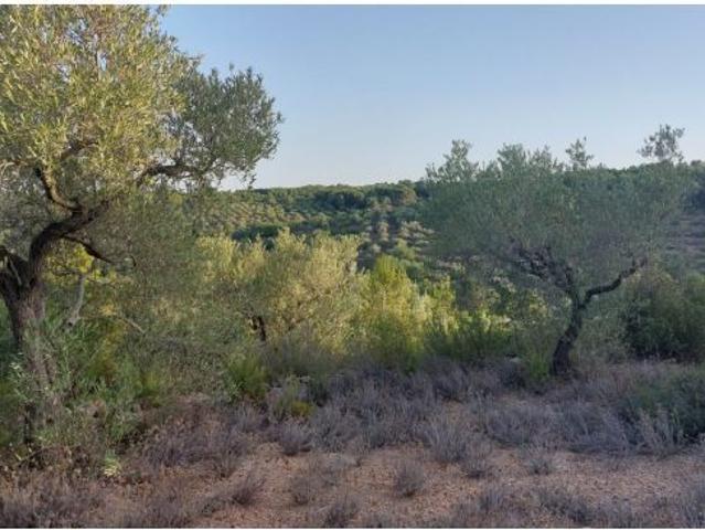 Local Comercial en venta en Baix Ebre, Catalunya
