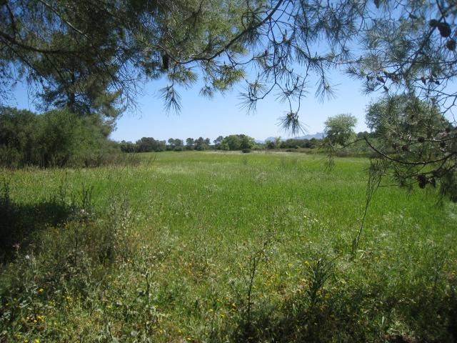 Villa en venta en Maria De La Salut