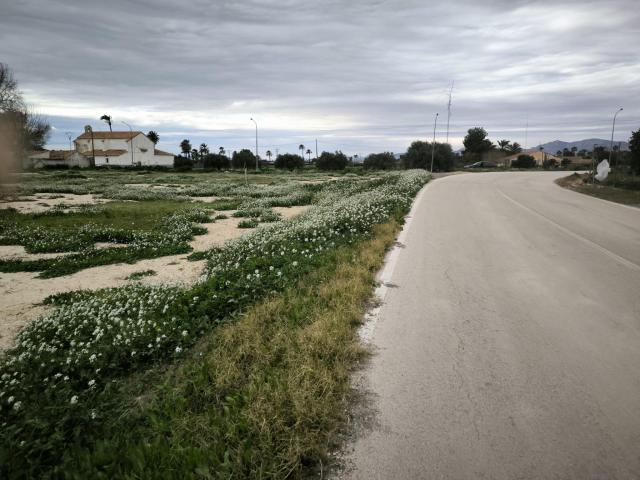 Casa en venta en la Foia, el Baix Vinalopó