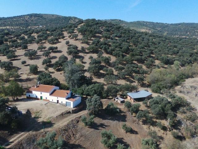 Chalet en venta en Espiel