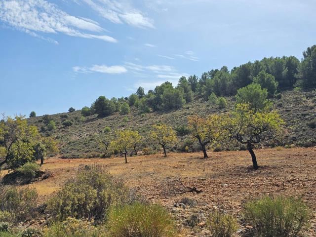 Terreno en venta en Fondón, Andalucía