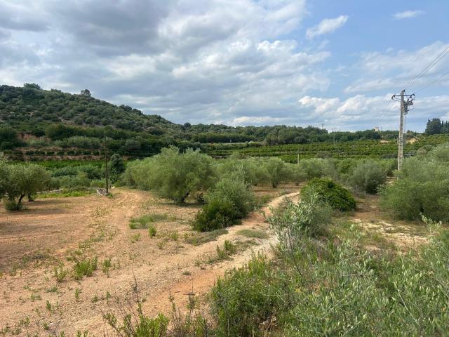 Casa en venta en Montsià, Catalunya