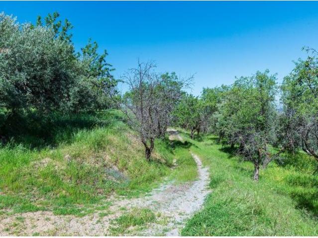 Local Comercial en venta en Güejar Sierra, Granada