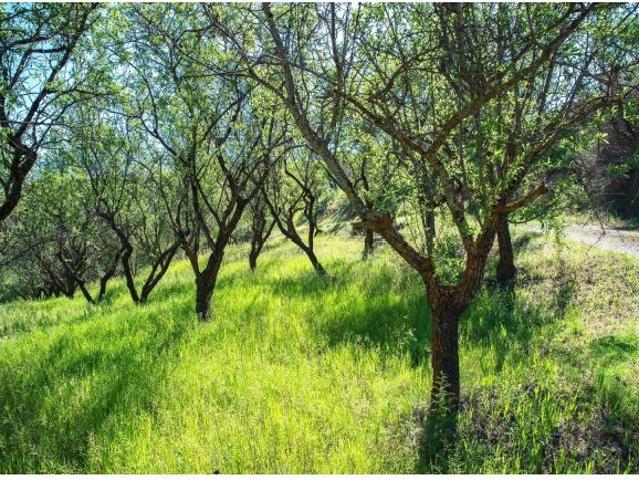 Local Comercial en venta en Comarca de la Vega de Granada, Andalucía