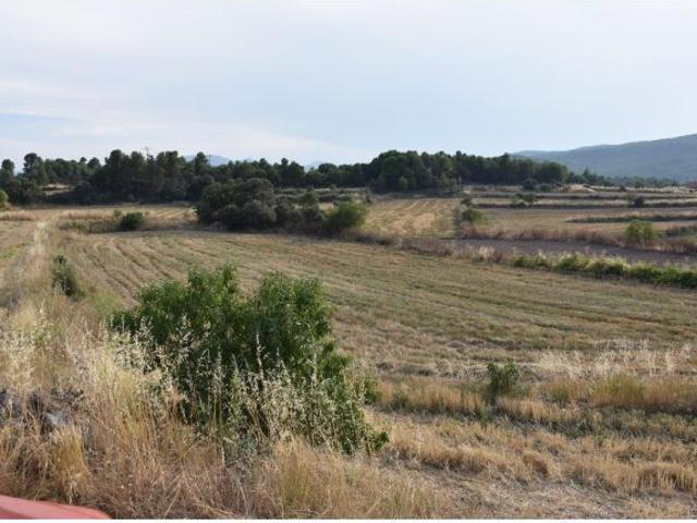Local Comercial en venta en Matarraña / Matarranya, Fuentespalda