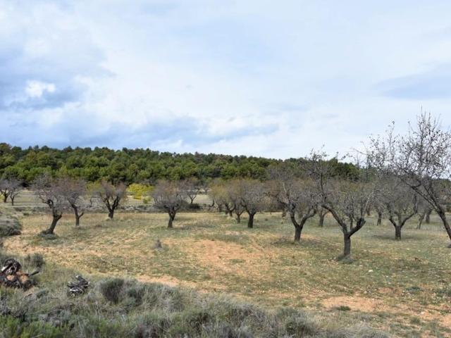 Chalet en venta en Matarraña / Matarranya, Fuentespalda