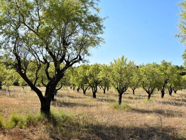 Chalet en venta en Matarraña / Matarranya, Fuentespalda
