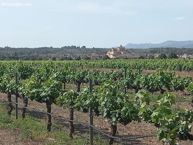 Local Comercial en venta en Ribera d'Ebre, Catalunya