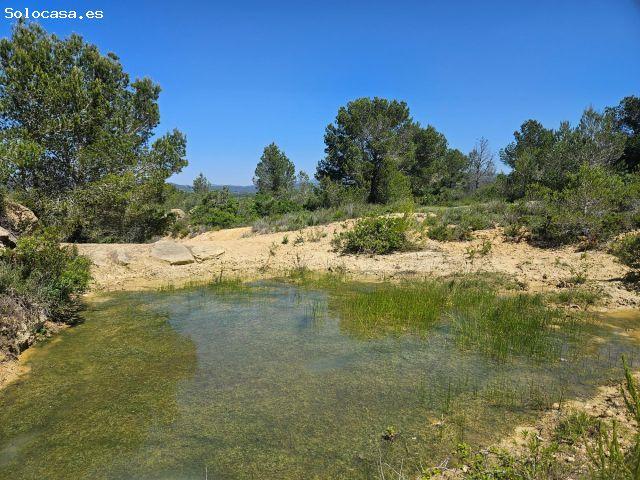 Local Comercial en venta en Baix Ebre, Catalunya