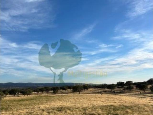 Casa en venta en Deleitosa, Cáceres