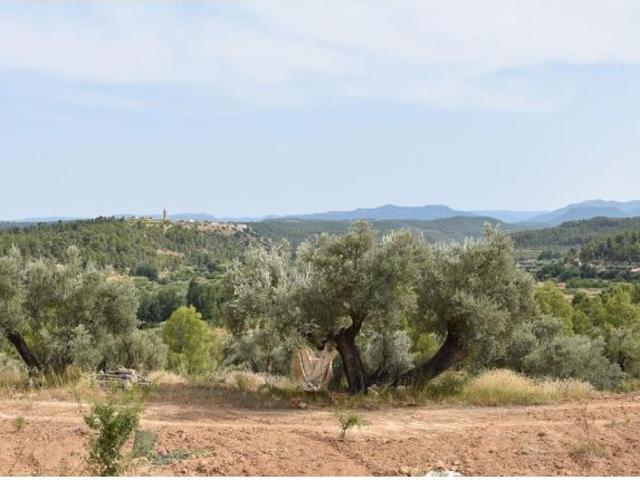 Local Comercial en venta en Matarraña / Matarranya, Valdeltormo