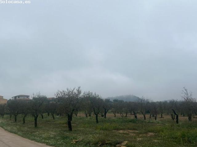 Local Comercial en venta en Matarraña / Matarranya, La Fresneda
