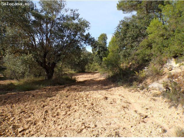 Local Comercial en venta en Matarraña / Matarranya, La Portellada
