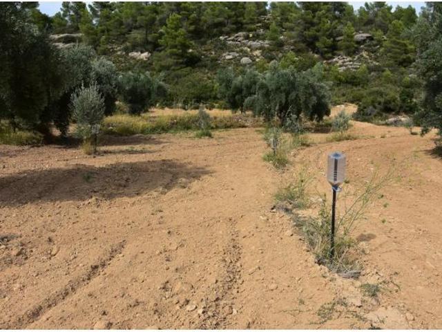 Local Comercial en venta en Matarraña / Matarranya, La Fresneda