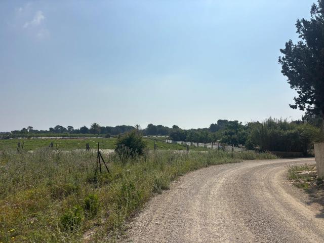 Terreno en venta en Carrús Oest, el Baix Vinalopó