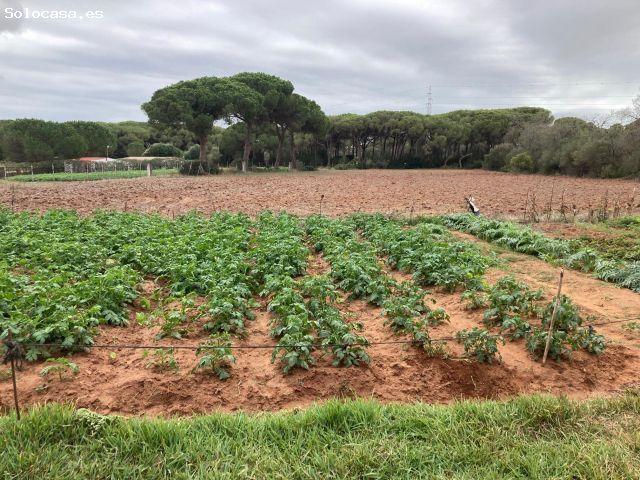 Casa en venta en Patría, La Janda