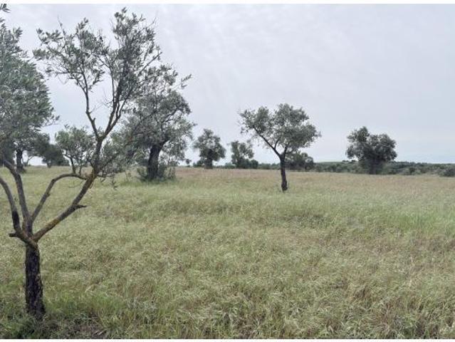 Local Comercial en venta en Candón, Beas