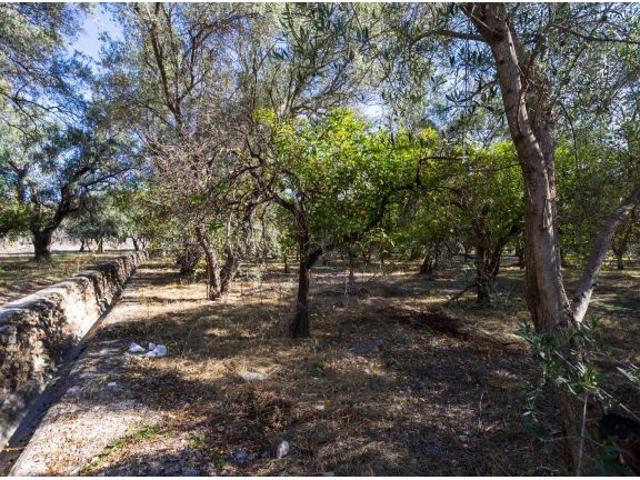 Local Comercial en venta en Talará, Comarca del Valle de Lecrín
