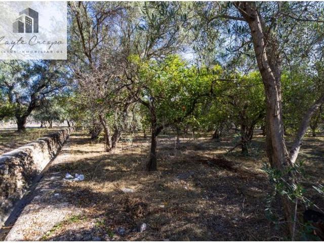 Local Comercial en venta en Talará, Comarca del Valle de Lecrín