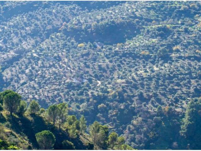 Local Comercial en venta en Sierra de las Nieves, Andalucía