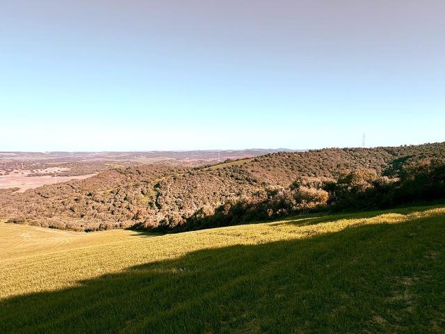 Terreno en venta en Urbanización Alcazaba, La Janda
