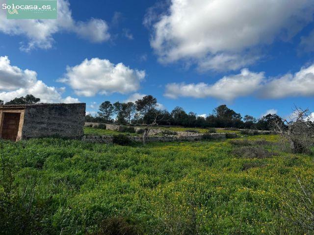 Local Comercial en venta en Pla de Mallorca, Baleares