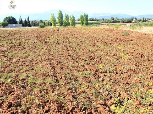 Local Comercial en venta en Pla de Mallorca, Baleares
