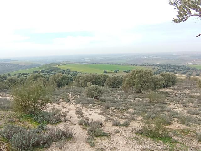 Casa en venta en Palomeque, Castilla-La Mancha