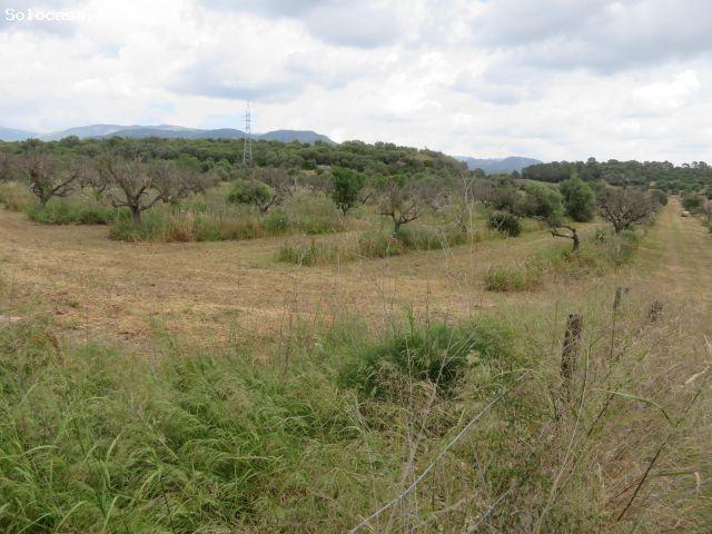 Local Comercial en venta en Marratxí, Marratxinet Local Comercial en venta en Marratxí, Marratxinet