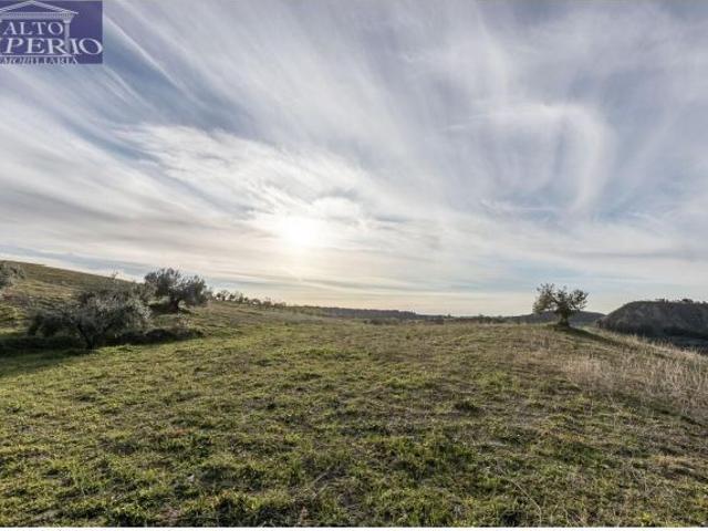 Local Comercial en venta en Barrio de la Vega, Comarca de la Vega de Granada