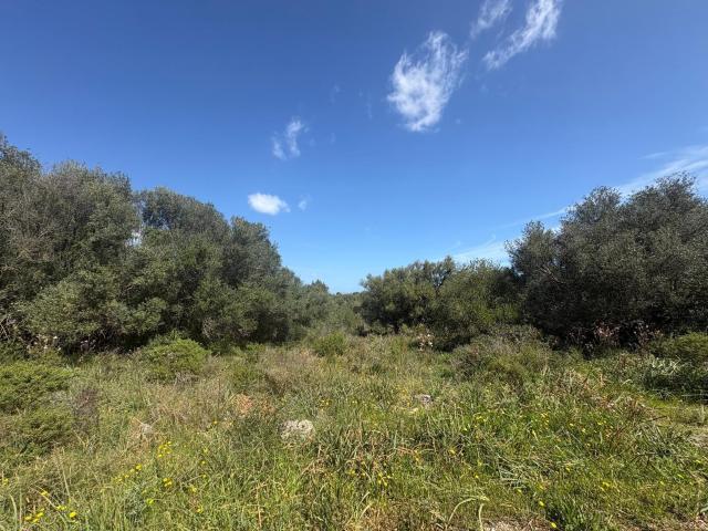 Terreno en venta en Pla de Mallorca, Baleares