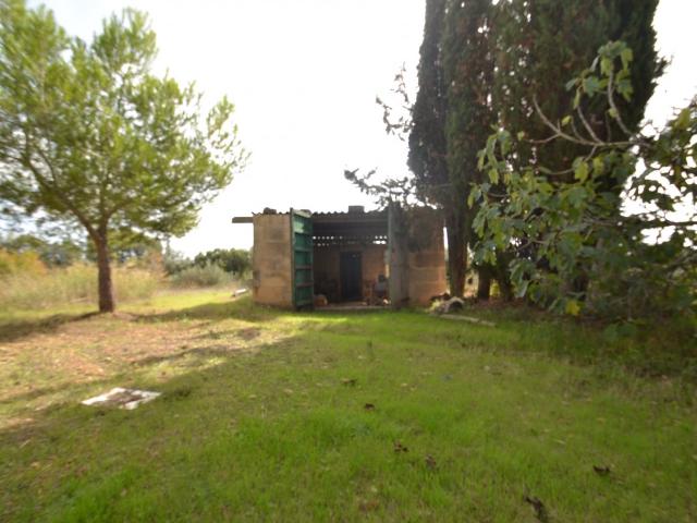 Terreno en venta en Pla de Mallorca, Baleares