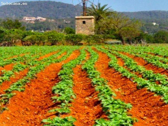 Local Comercial en venta en Pla de Mallorca, Baleares