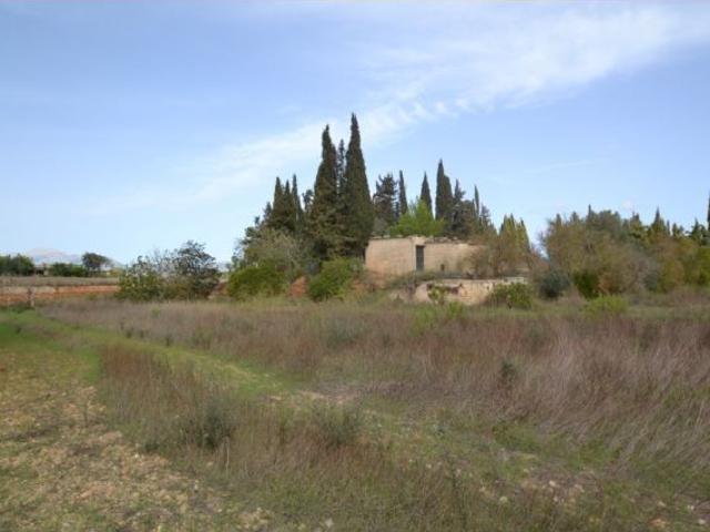 Local Comercial en venta en Pla de Mallorca, Baleares