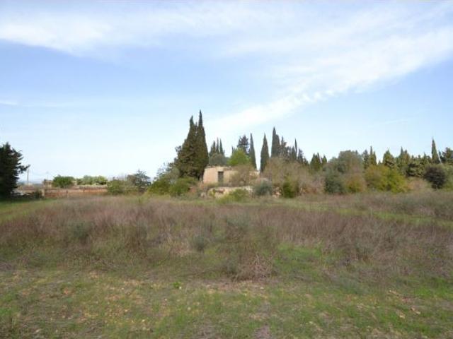 Local Comercial en venta en Pla de Mallorca, Baleares